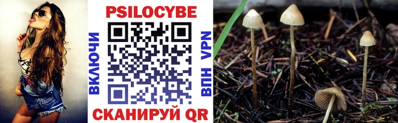 Галлюциногенные грибы мухоморы  Чехов 